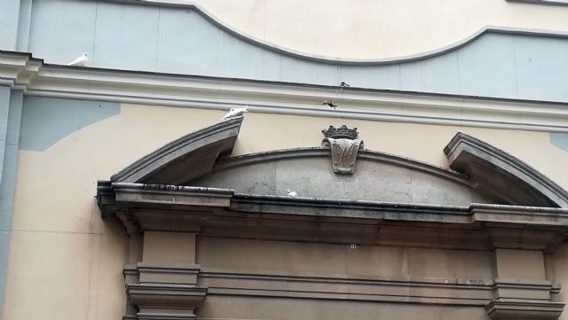 La asociación de vecinos de Vistabella reclama una solución al problema de las palomas - 3, Foto 3