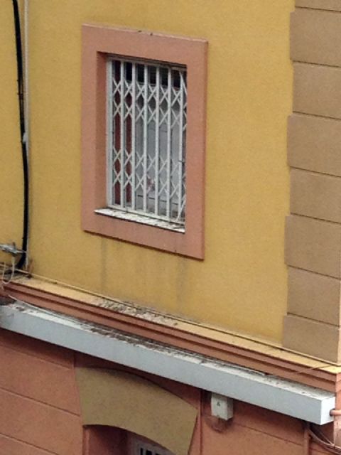 La asociación de vecinos de Vistabella reclama una solución al problema de las palomas - 5, Foto 5