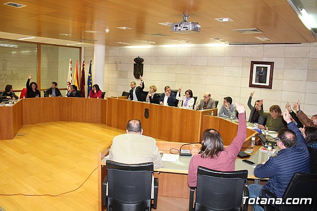 Pleno extraordinario y urgente 14/03/2019, Foto 1