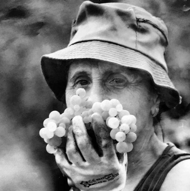 BASF Agro lanza la segunda edición de #YoSoyAgricultor - 2, Foto 2