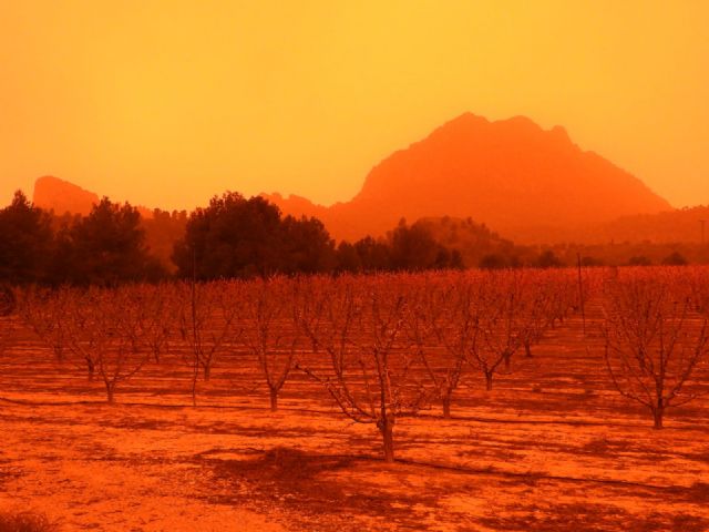 Ecologistas en Acción señala que son necesarias medidas preventivas para abordar el grave episodio por intrusión de polvo sahariano - 1, Foto 1