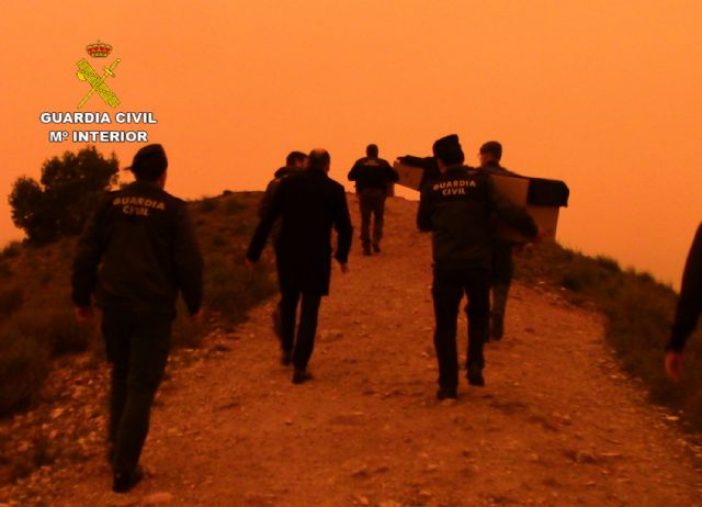 Recuperados y liberados cuatro búhos reales que se encontraban en cautividad - 1, Foto 1