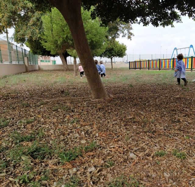 La red de centros de atención a la infancia se prepara para el próximo curso escolar - 4, Foto 4