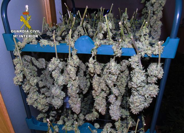 La Guardia Civil sorprende a siete personas manipulando cannabis en un chalé de El Esparragal-Murcia - 1, Foto 1