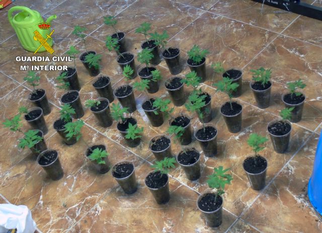 La Guardia Civil sorprende a siete personas manipulando cannabis en un chalé de El Esparragal-Murcia - 3, Foto 3