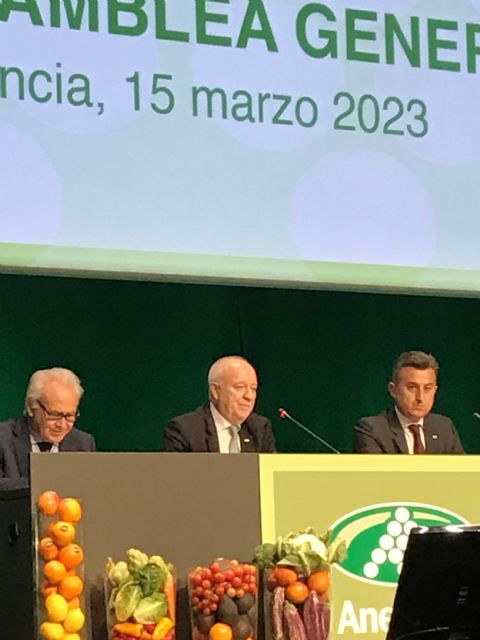 Anecoop aumenta su facturación un 4,2% en uno de sus ejercicios más complejos - 2, Foto 2