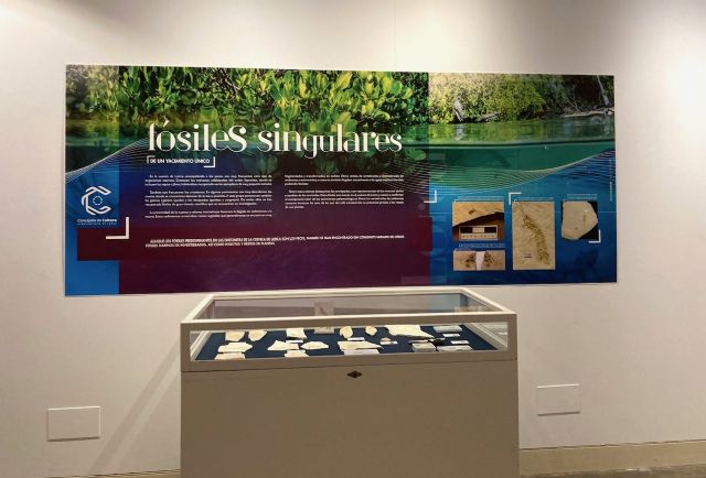 Una exposición pone en valor la importancia científica de los yacimientos de la Serrata - 3, Foto 3