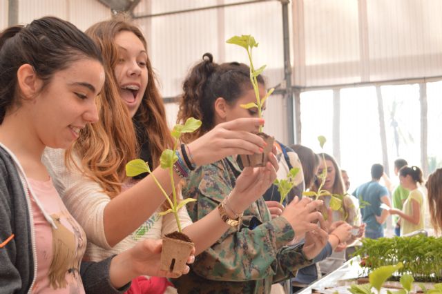 Estudiantes de Jumilla, Murcia, San Javier y Fuente Álamo descubren la piña hidropónica en la UPCT - 1, Foto 1