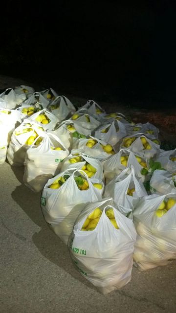 La Policía Local de Blanca evita el robo de unos 1000 kilos de limones - 1, Foto 1