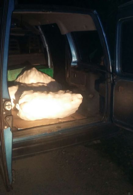 La Policía Local de Blanca evita el robo de unos 1000 kilos de limones - 2, Foto 2