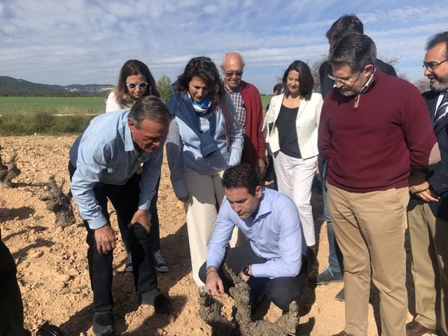 Teodoro García: Proponemos incentivos fiscales a los jóvenes emprendedores que se instalen en zonas rurales - 2, Foto 2