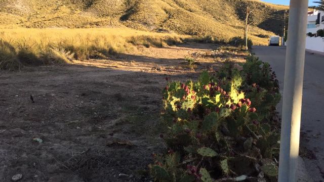 IU pide la intervención del estado en la autonomía murciana por hacer dejación de sus competencias en la protección de Cope-Calnegre - 2, Foto 2