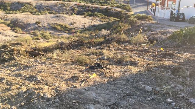 IU pide la intervención del estado en la autonomía murciana por hacer dejación de sus competencias en la protección de Cope-Calnegre - 3, Foto 3