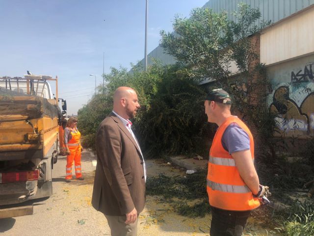 Mejora de la visibilidad en la carretera que discurre entre Cartagena y Torre Pacheco - 1, Foto 1