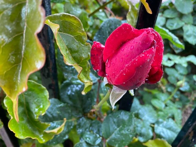 Me iba a despedir del 14 de abril escribiendo sobre un día en la lucha contra el coronavirus - 1, Foto 1
