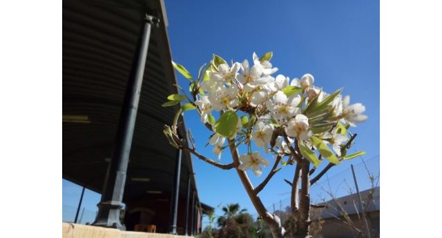 El Centro Comunitario «La Estación» lanza el vídeo #VamosBeniaján - 1, Foto 1