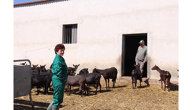 UPA propone ayudar a los ganaderos de caprino a reducir su producción láctea nacional un 10% - 1, Foto 1
