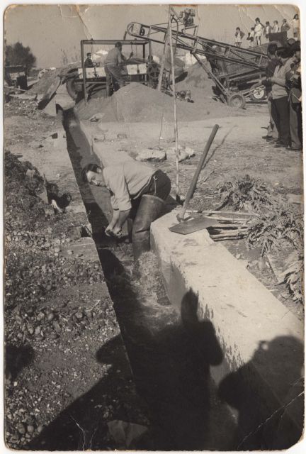 La máquina para recolectar chufa que revolucionó la industria horchatera celebra su 50 aniversario - 3, Foto 3