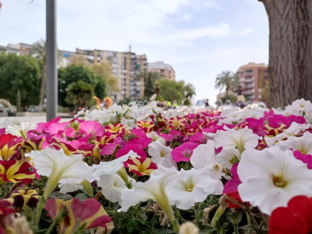 Los Jardines de Primavera cosechan un gran éxito de afluencia con más dos millones de visitas - 5, Foto 5