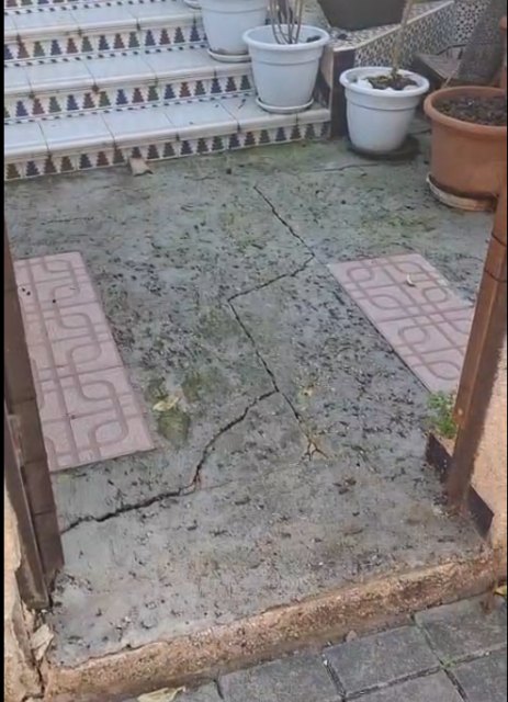 Isabel Gadea exige soluciones para los daños estructurales en viviendas y el peligro de caídas en calles levantadas por raíces - 2, Foto 2