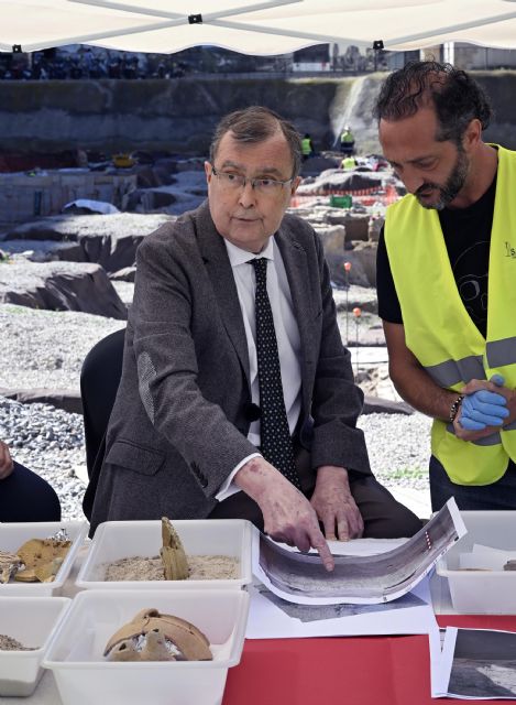 El Yacimiento de San Esteban saca a la luz el primer dromedario hallado en la ciudad de Murcia - 2, Foto 2
