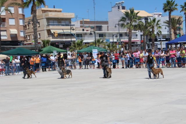 Cientos de personas disfrutaron de la celebración de El Día del Perro en San Pedro del Pinatar - 2, Foto 2
