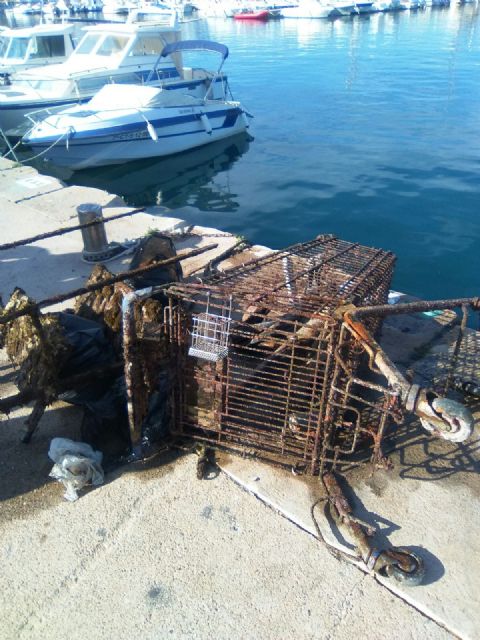 Más de 600 kilos de basura fueron extraídos del fondo marino en una jornada organizada por la Concejalía - 3, Foto 3