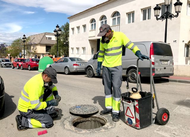 En Mayo se intensifican las actuaciones para la prevención y erradicación de plagas en el municipio - 2, Foto 2