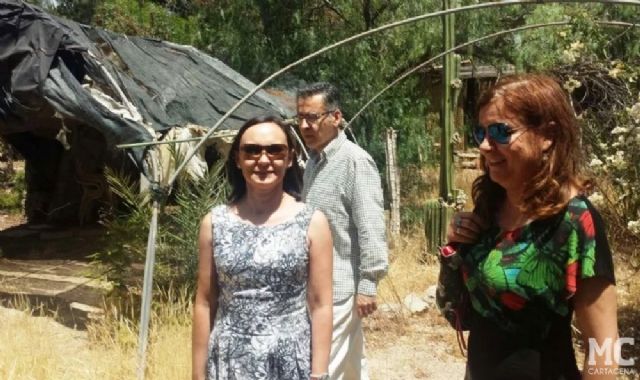 MC defenderá medidas que apuestan por la mejora medioambiental y de accesibilidad en el municipio - 1, Foto 1