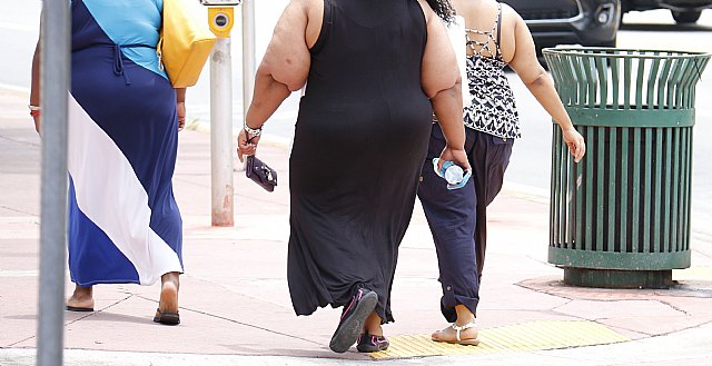 Las personas obesas, entre las más vulnerables al COVID-19 - 1, Foto 1