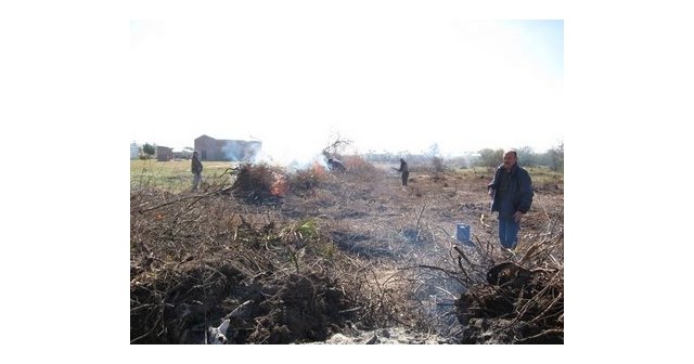 Cieza recibirá más de 900.000 euros para los consejos comarcales de 2020 - 1, Foto 1