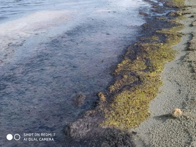 Balnearios sin bañistas - 2, Foto 2