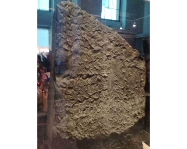 La piedra roseta - 1, Foto 1