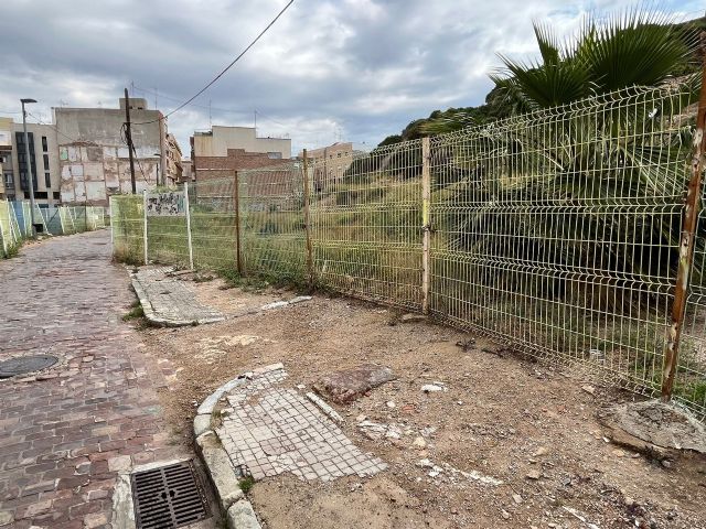Basura, plagas y desidia: la vergonzosa realidad de la Morería Baja debido a la nefasta gestión de Arroyo - 3, Foto 3