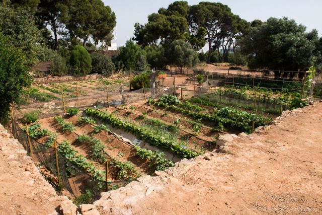 Educación acercará el entorno natural autóctono a los escolares - 4, Foto 4