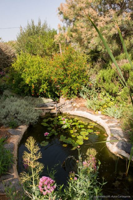 Educación acercará el entorno natural autóctono a los escolares - 5, Foto 5