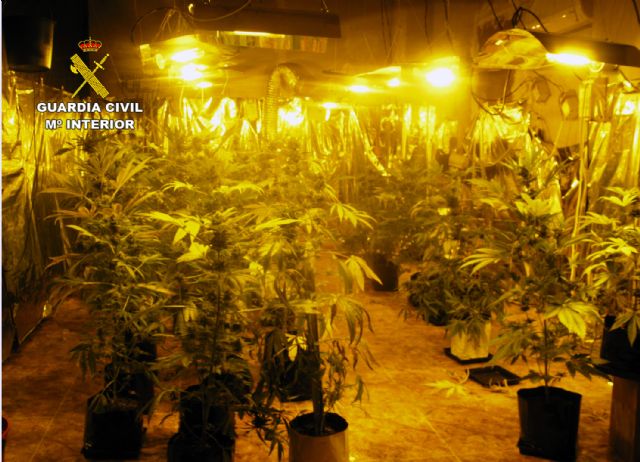 La Guardia Civil desmantela un invernadero clandestino para cultivar marihuana en Librilla - 3, Foto 3