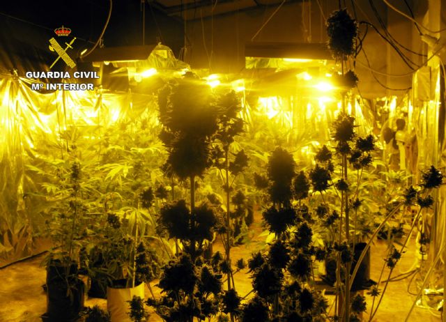 La Guardia Civil desmantela un invernadero clandestino para cultivar marihuana en Librilla - 4, Foto 4