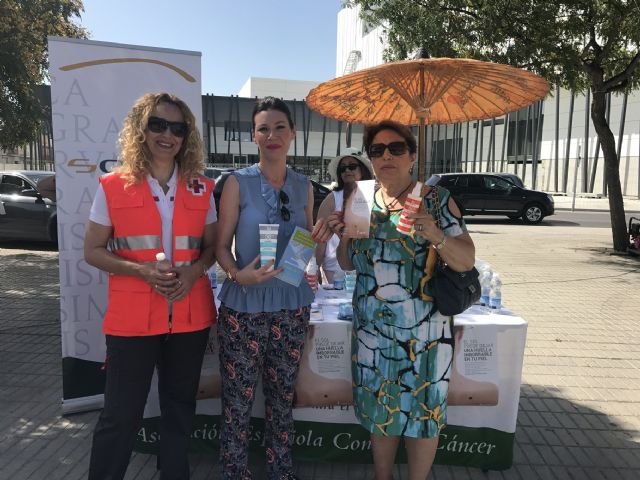 La Concejalía de Sanidad, Cruz Roja y la AECC desarrollan una campaña de concienciación ciudadana para evitar golpes de calor ante la llegada de temperaturas muy elevadas - 1, Foto 1