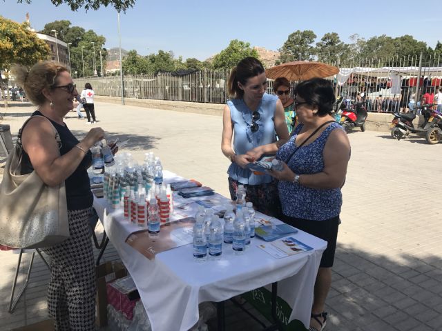 La Concejalía de Sanidad, Cruz Roja y la AECC desarrollan una campaña de concienciación ciudadana para evitar golpes de calor ante la llegada de temperaturas muy elevadas - 3, Foto 3
