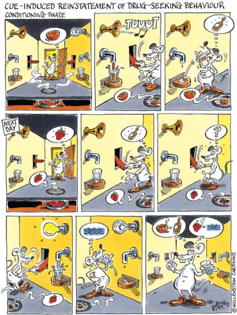 La UMU investiga fármacos para evitar la recaída en las adicciones - 1, Foto 1