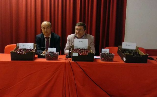 Una jornada técnica estudia los resultados de las 34 variedades de cerezo en la Región de Murcia - 1, Foto 1
