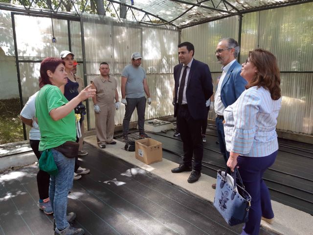 Una treintena de personas forma parte de los nuevos programas de empleo que trabajan en distintos espacios públicos de Caravaca - 1, Foto 1