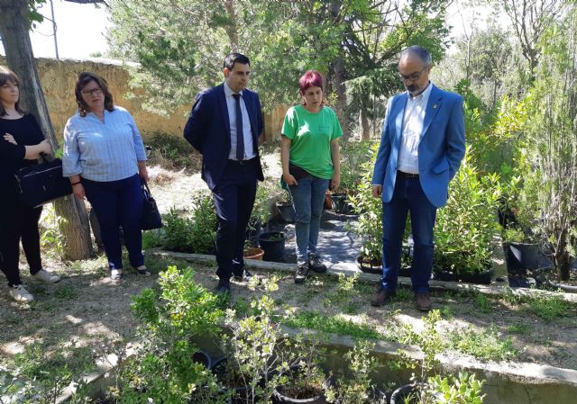 Una treintena de personas forma parte de los nuevos programas de empleo que trabajan en distintos espacios públicos de Caravaca - 2, Foto 2