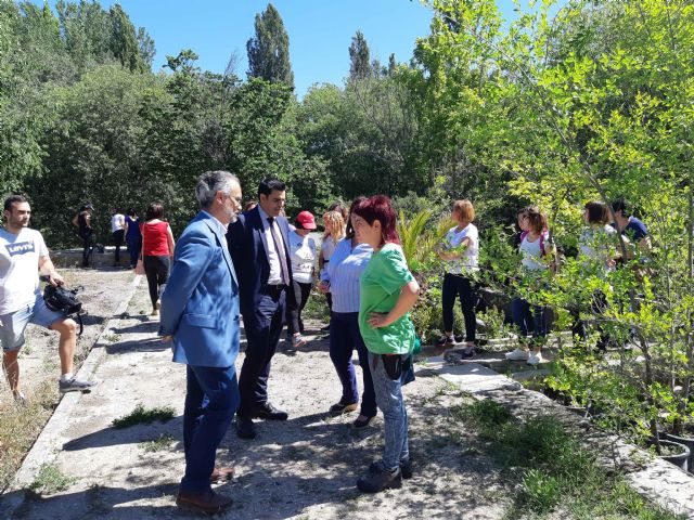 Una treintena de personas forma parte de los nuevos programas de empleo que trabajan en distintos espacios públicos de Caravaca - 5, Foto 5