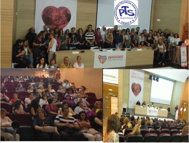 Masiva participación en la Asamblea de la Plataforma de Técnicos Superiores Grupo B de la región de Murcia - 1, Foto 1