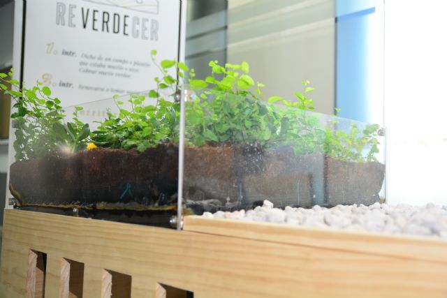 Cuatro arquitectos por la UPCT crean una empresa de de cubiertas vegetales e infraestructuras verdes - 1, Foto 1