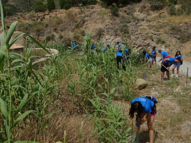 Imágenes de los trabajos de voluntariado desarrollados el día de ayer con la colaboración de trabajadores de la empresa Nubika (P.García-ANSE), Foto 1