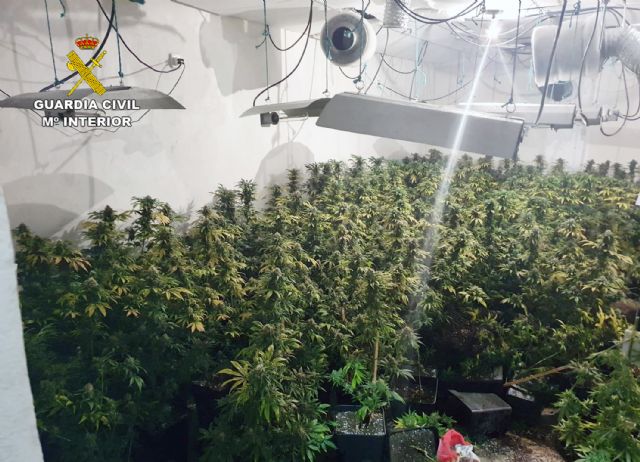La Guardia Civil desmantela una plantación de marihuana en la pedanía pachequera de Roldán - 2, Foto 2