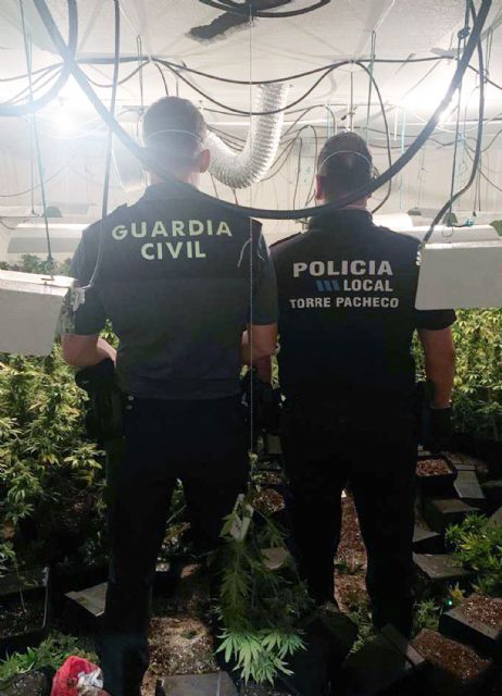 La Guardia Civil desmantela una plantación de marihuana en la pedanía pachequera de Roldán - 3, Foto 3